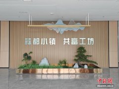 “中国大蒜之乡”济宁金乡乡村振兴的“共富密码”